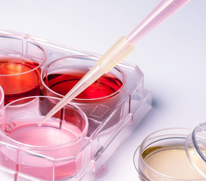 Slider image (3) Bioscience Institute Middle East